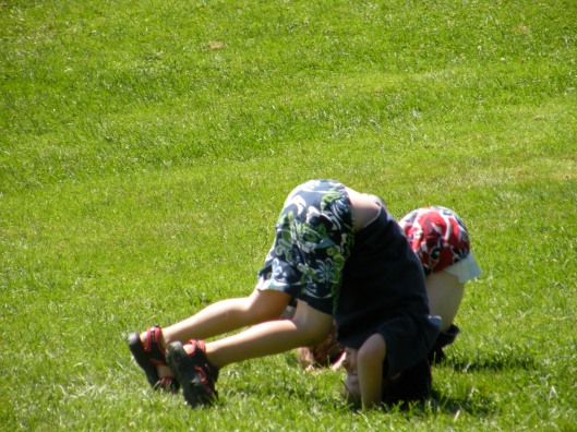 and then they somersaulted up and down the hill at the park.  over and over again!
